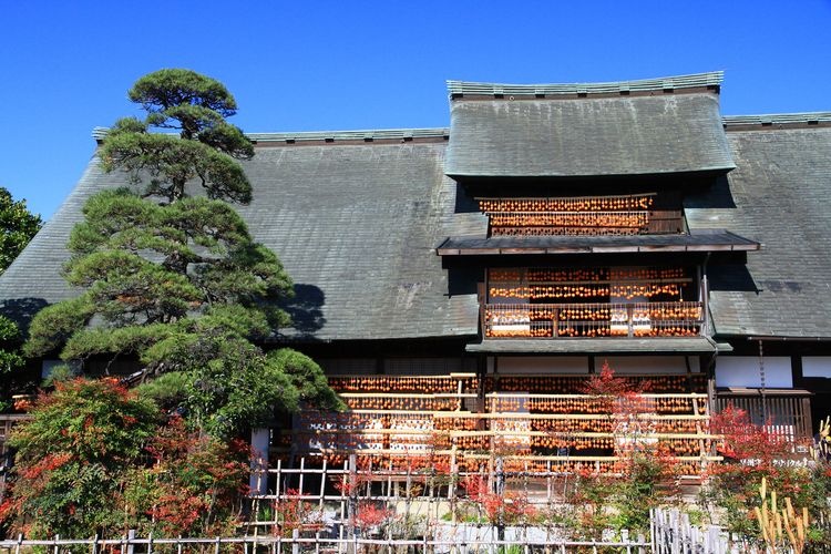 Kyu Takano Family Residence (Kanzou Yashiki)