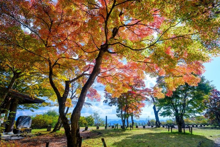 旧碓氷峠见晴台 2