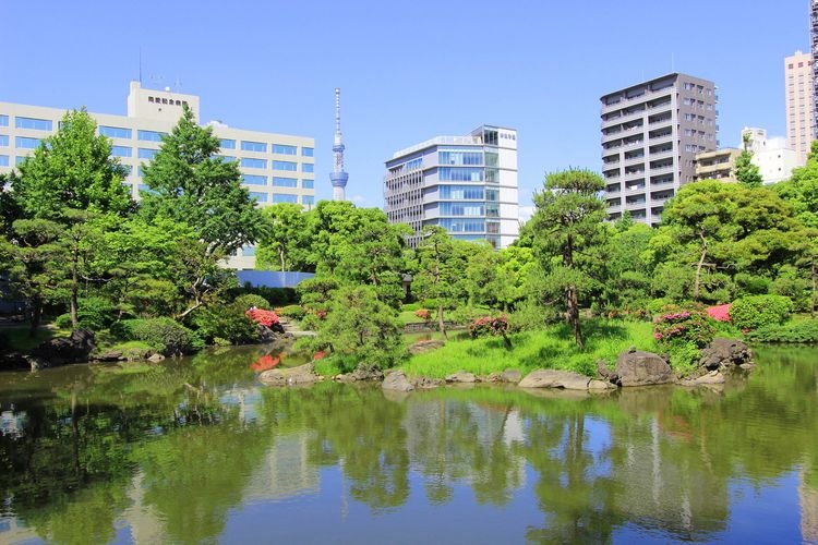 Jardin Kyu-Yasuda