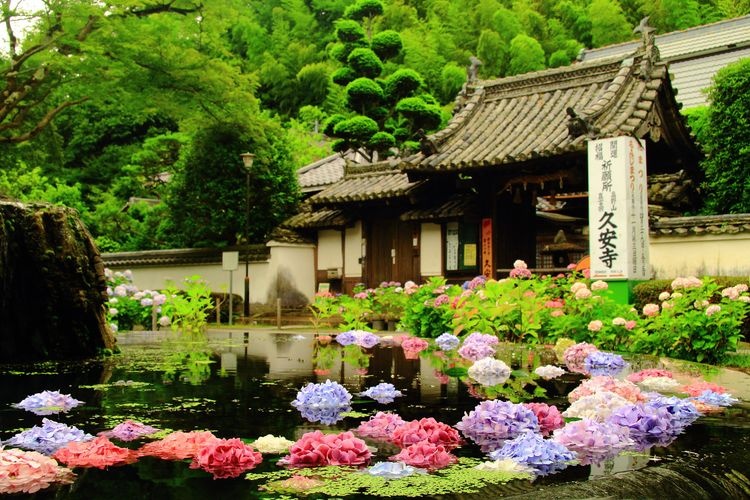 구안지 (Kyuan-ji)