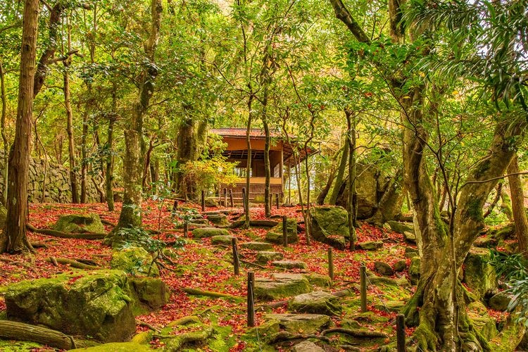 旧竹林院 3