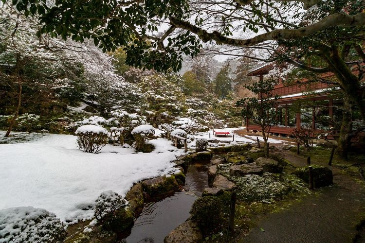 旧竹林院 6
