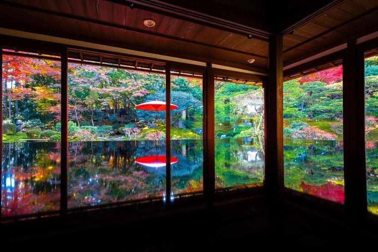 旧竹林院 7
