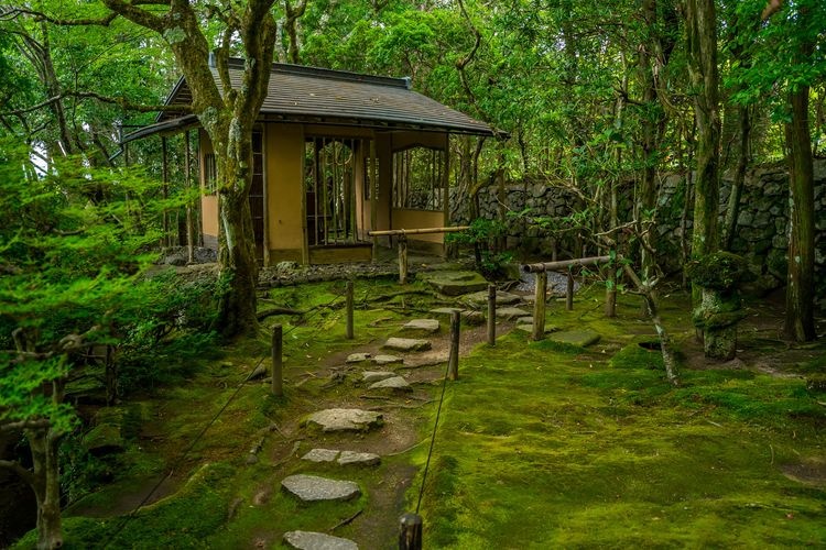 旧竹林院 8