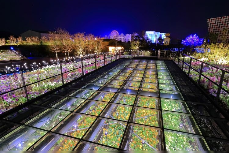 Laguna Ten Bosch - La Laguna 6