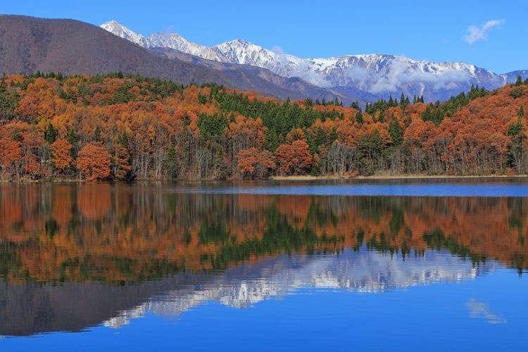 Lake Aoki 3