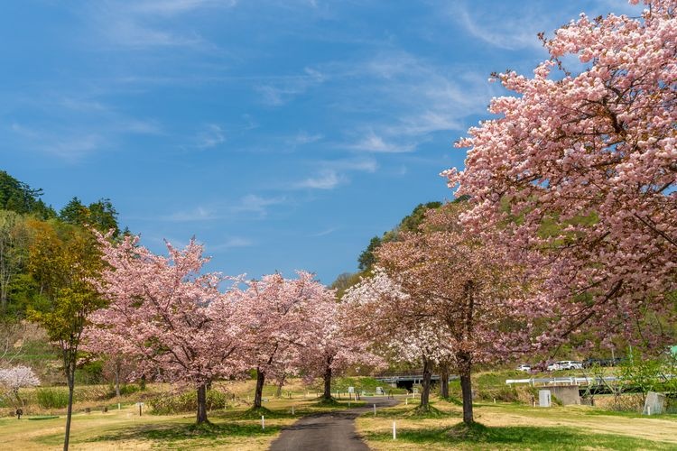 白川湖 2