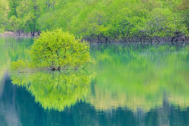 白川湖 3
