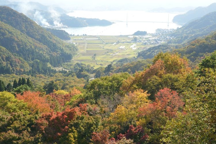 Maizuru Nature and Culture Park