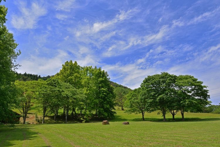 Maizuru Nature and Culture Park 3