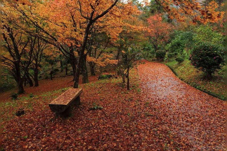 Maizuru Nature and Culture Park 4