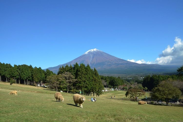 Makaino Farm 3
