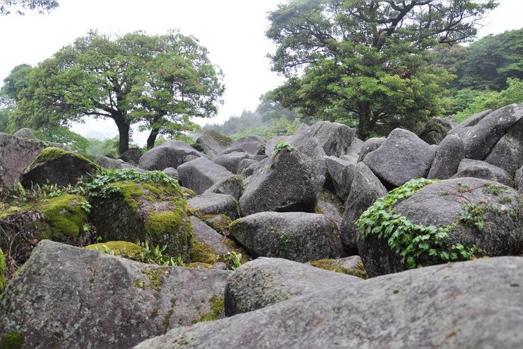 Magura no Oiwago