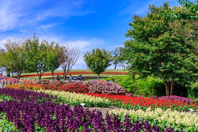 馬見丘陵公園
