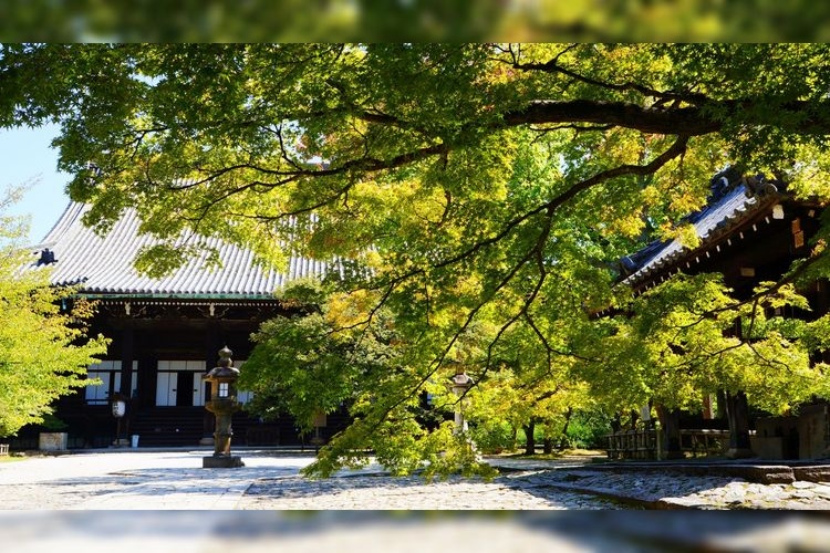奧宮 真名井神社 2