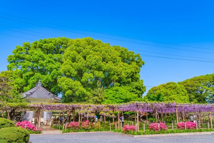 曼陀羅寺公園