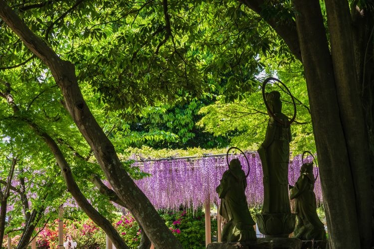 曼陀羅寺公園 3