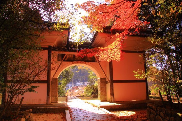 Mangan-ji Temple 2