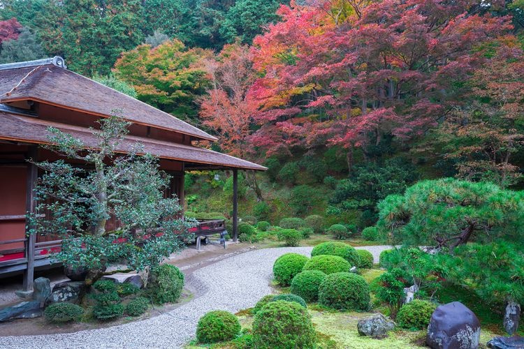 만슈인(曼殊院) 3