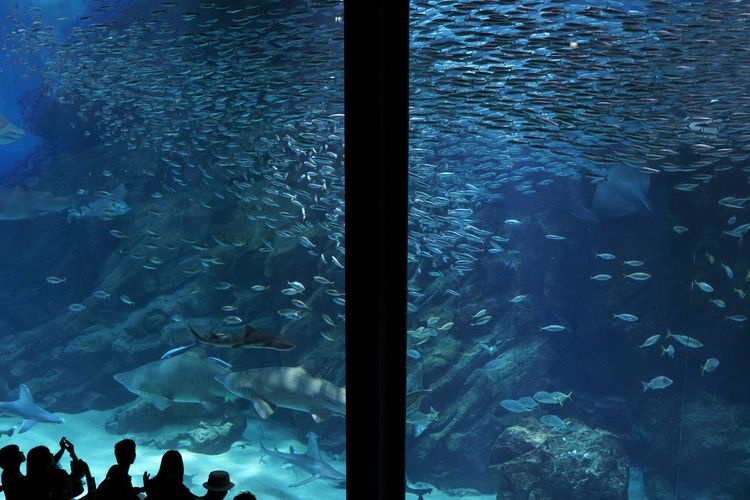 Marine World Uminonakamichi