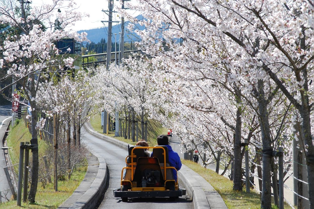 Maruoka Park