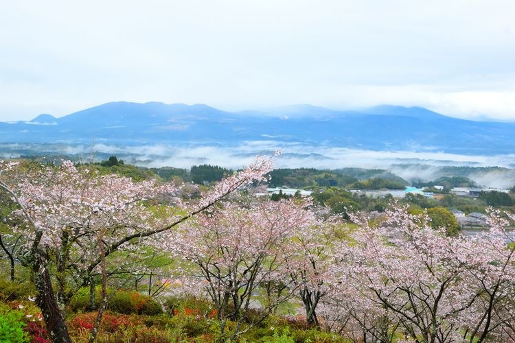 Maruoka Park