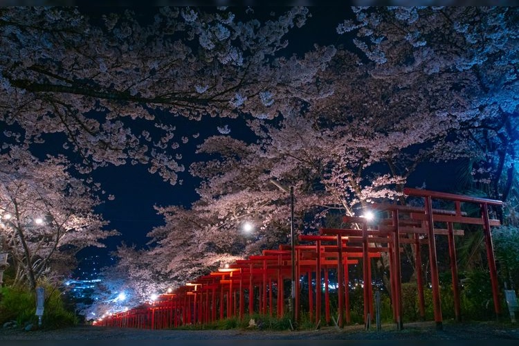 Marutaka Inari Jinja