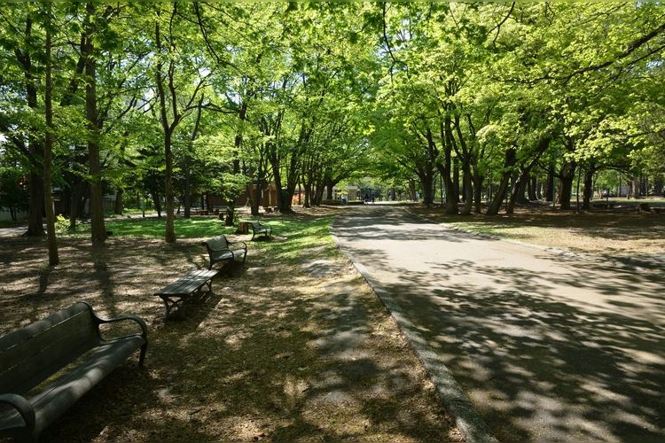 円山公園マルシェ