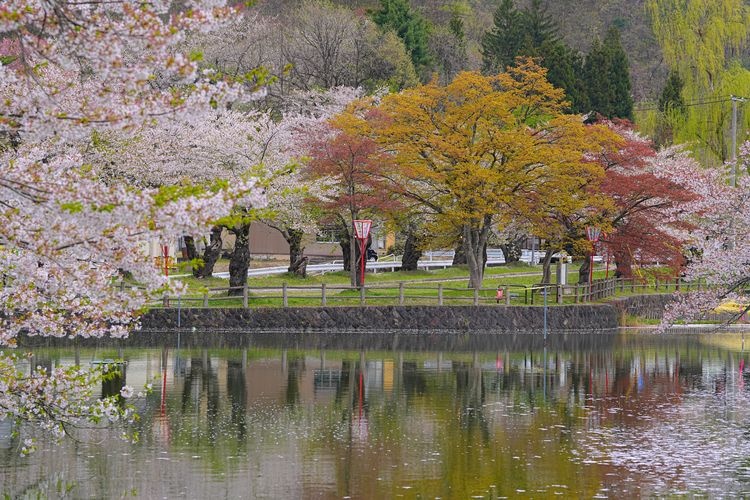Masato Park