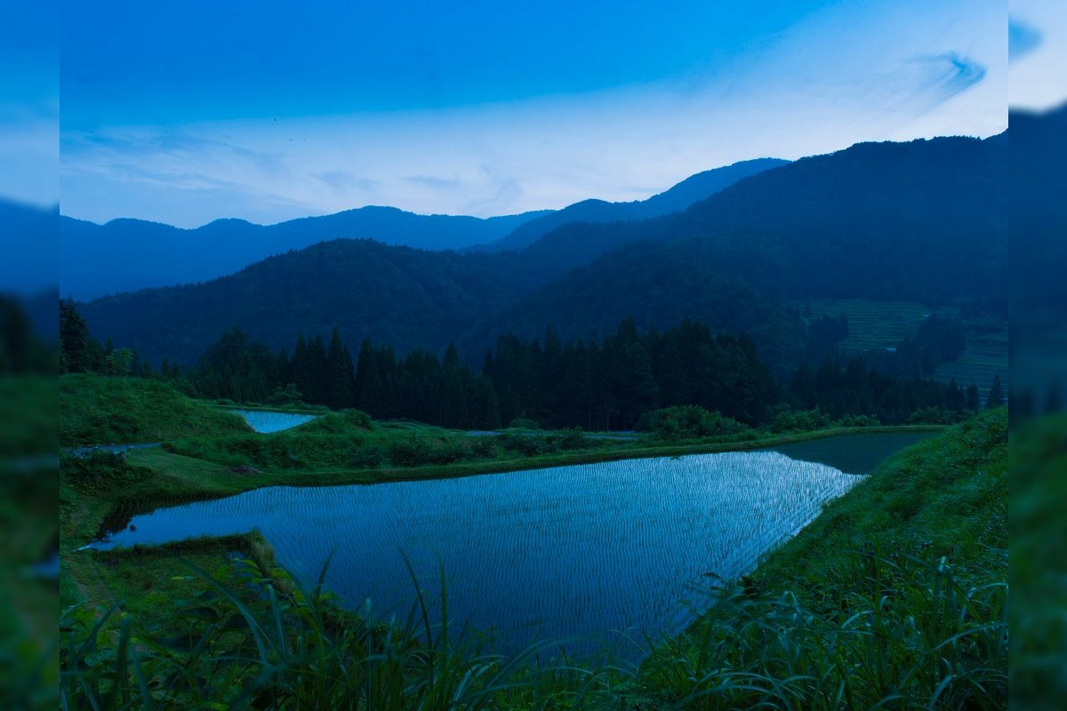 正ケ洞棚田 (Masakeho Rice Terraces)