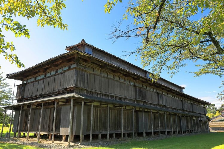 松岡開墾場 (Matsugaoka Kaikonba) 2