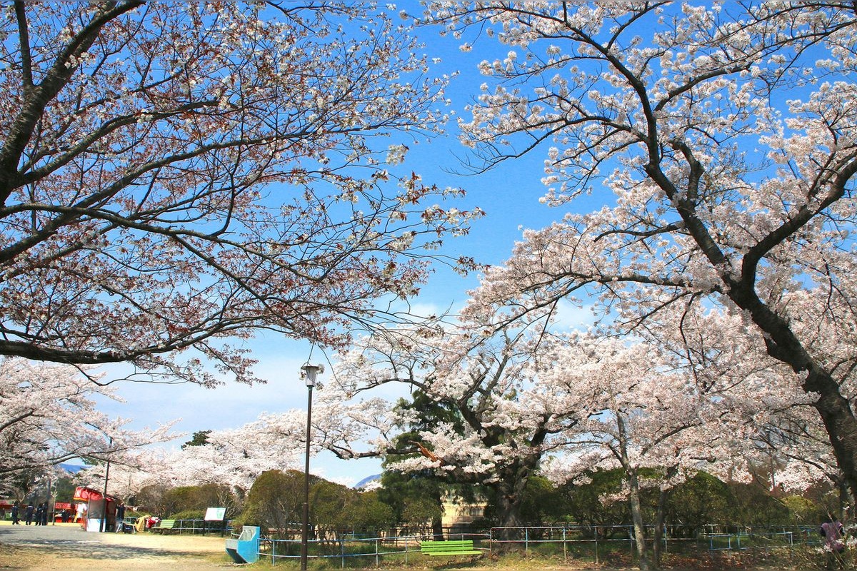 Tamanogaka Park
