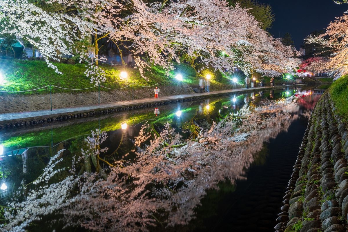 Sakura am Matsukawa-gawa
