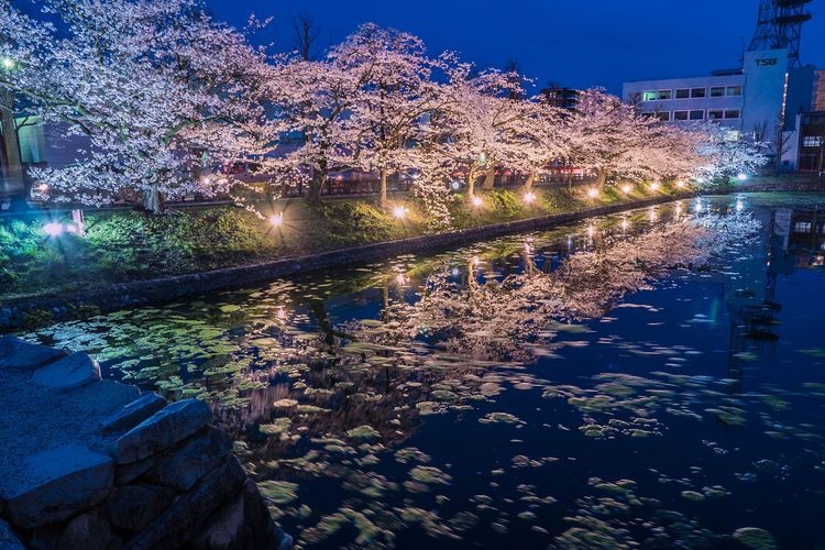Matsumoto Castle 6