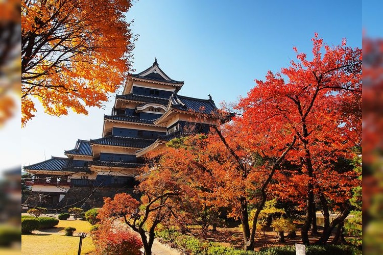 Matsumoto Castle 8