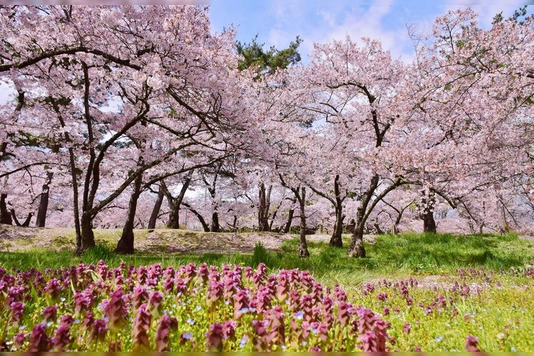 Parque Shiroyama de la ciudad de Matsumoto
