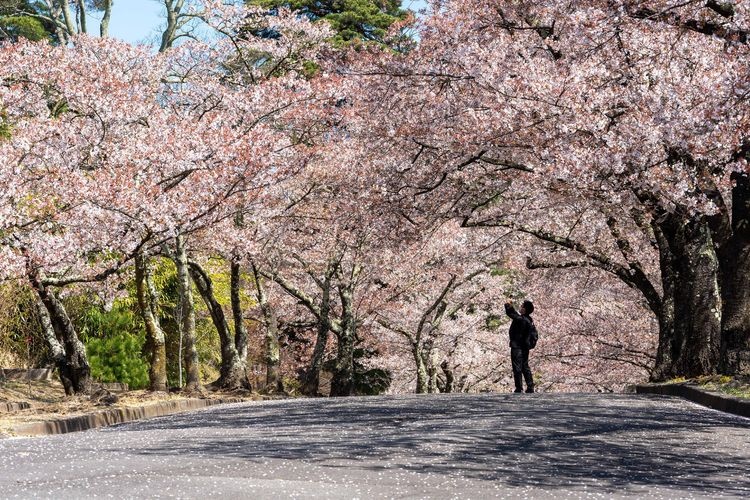 Parque Shiroyama de la ciudad de Matsumoto 3