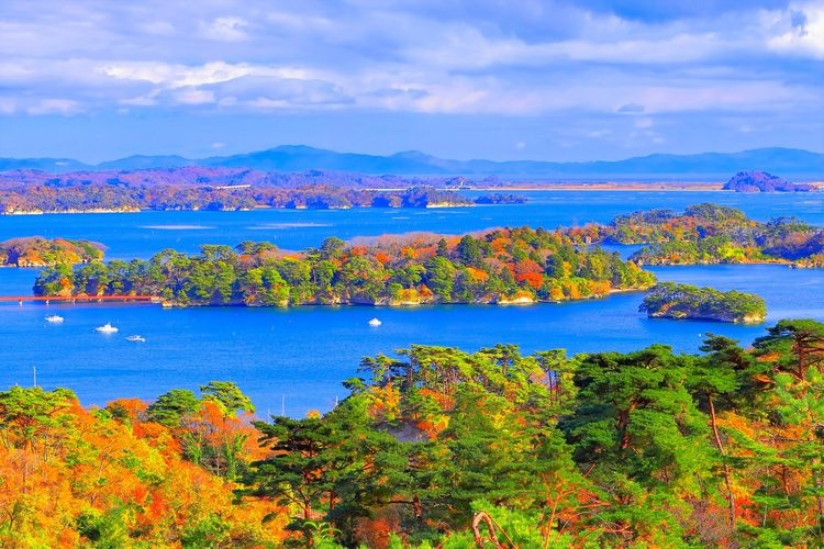 Matsushima 2