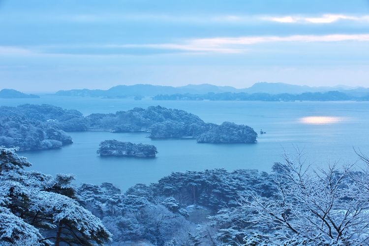 Matsushima 8