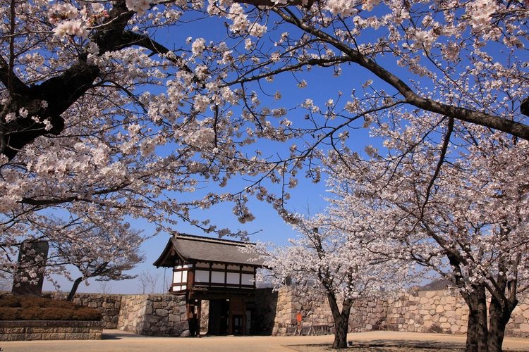 Matsushiro Castle 3