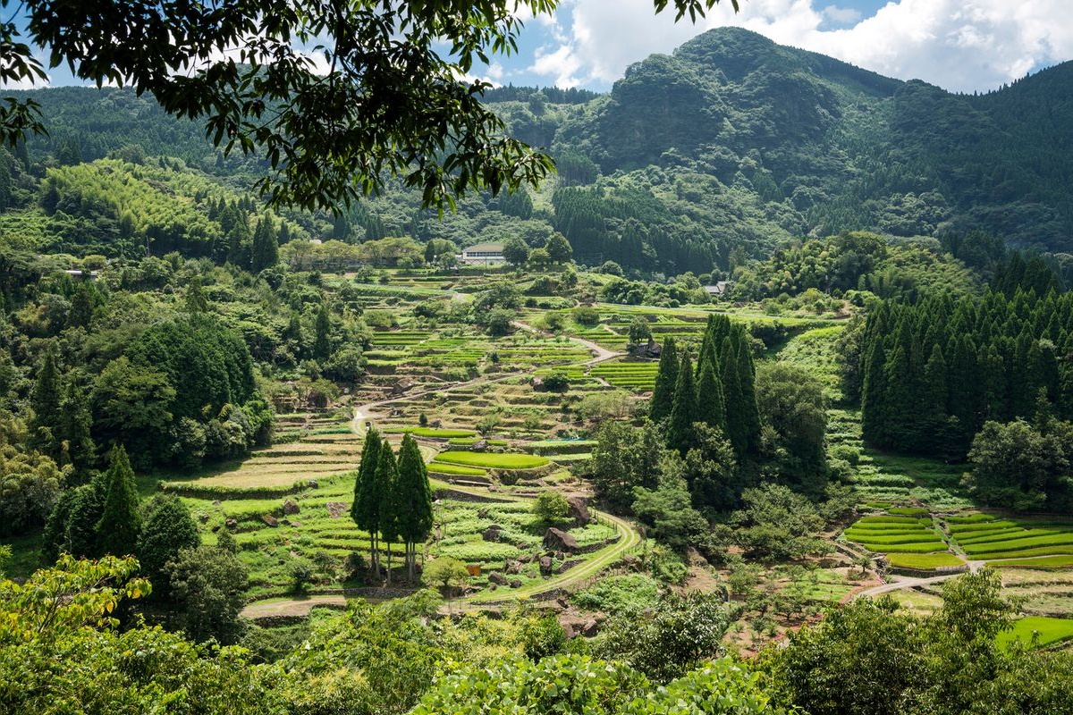 Matsutani Rice Terraces
