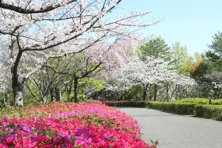 Matsuyama Sogo Park