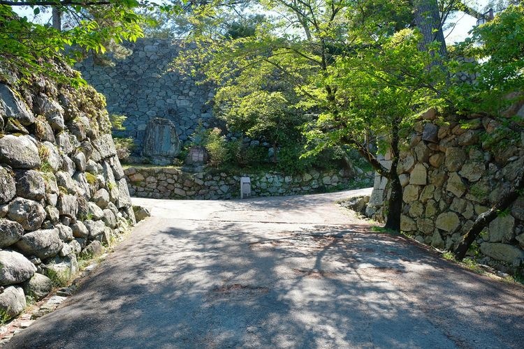 Ruines du château de Matsuzaka (Parc Matsuzaka)