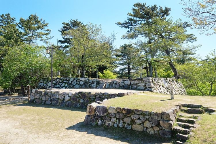 Ruines du château de Matsuzaka (Parc Matsuzaka) 2