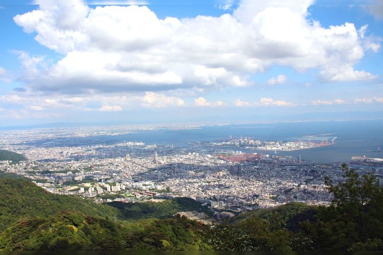 摩耶山(掬星台)