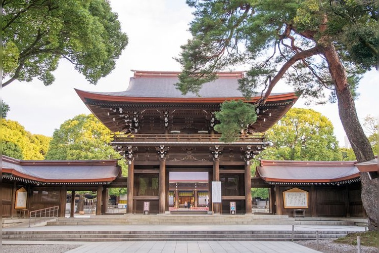 Meiji Jingu 3