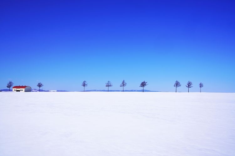 Colline du Conte (Ozora-cho Meruhen no Oka) 3
