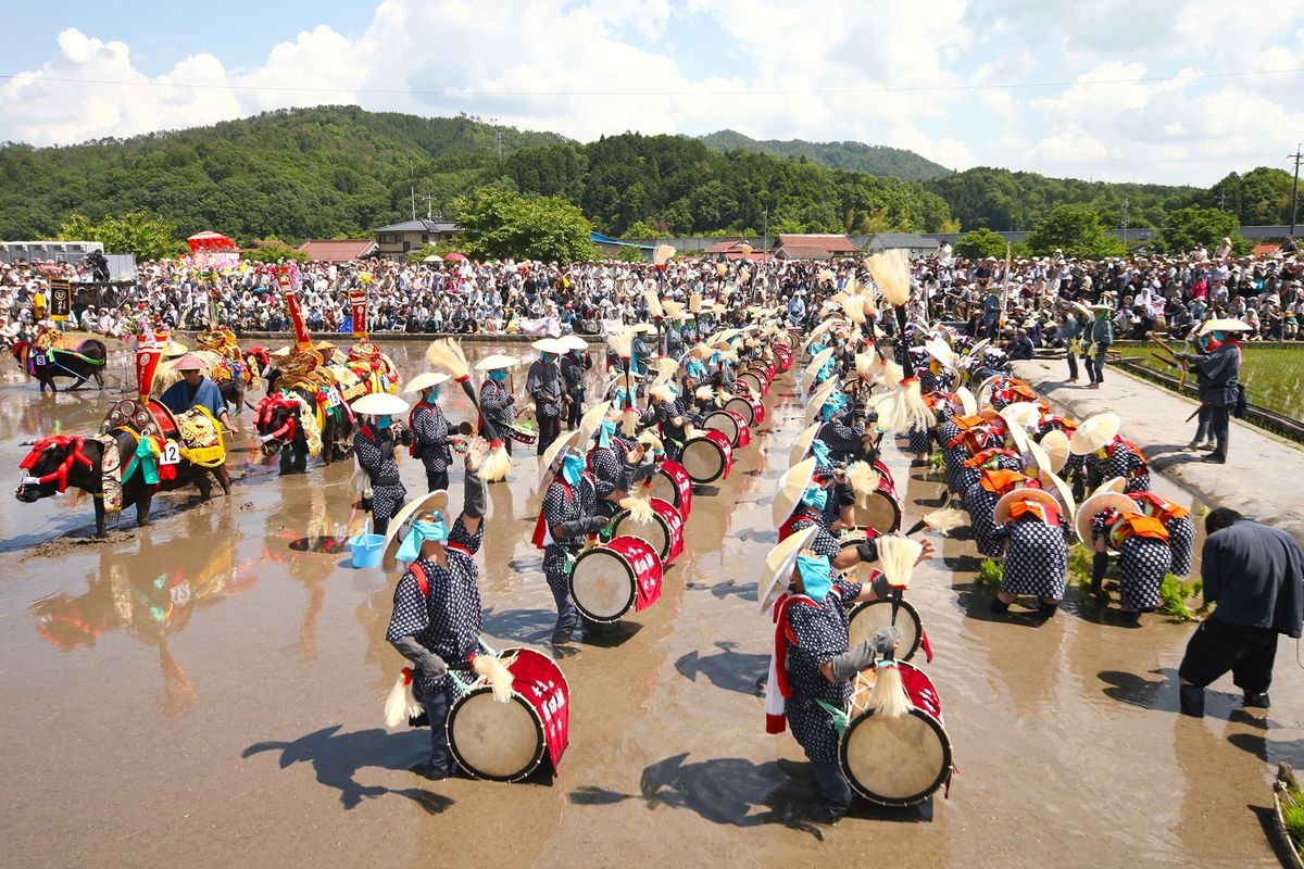 Mibu no Hanadaue