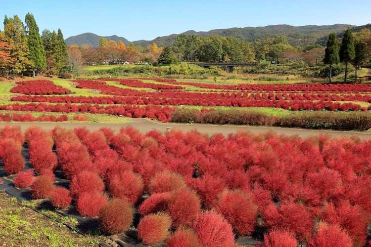 Parque Nacional Michinoku Mori no Kohan