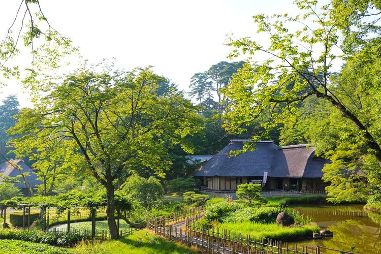 Michinoku Folk Village 2